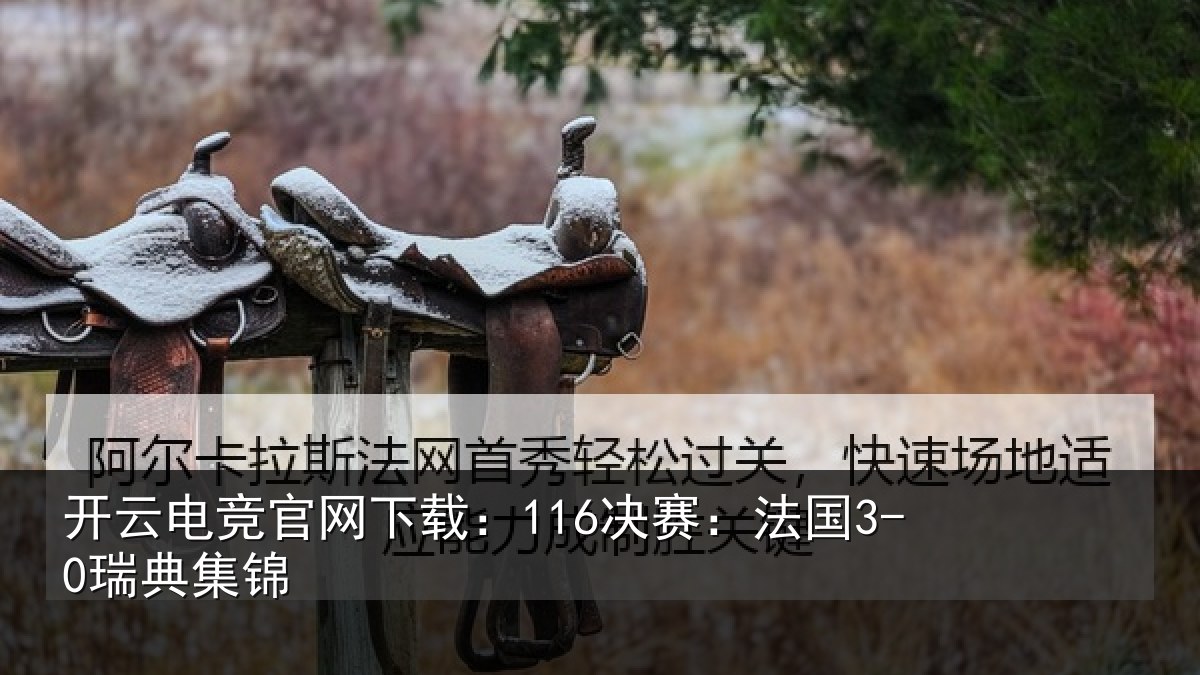 开云电竞官网下载：116决赛：法国3-0瑞典集锦