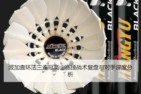 波加查环法三连冠高山赛段战术复盘与对手深度分析