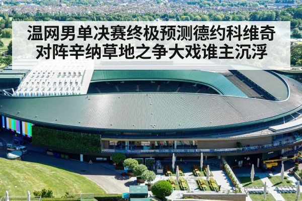 温网男单决赛终极预测德约科维奇对阵辛纳草地之争大戏谁主沉浮