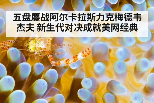 五盘鏖战阿尔卡拉斯力克梅德韦杰夫 新生代对决成就美网经典